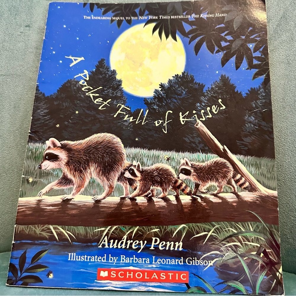 A pocket full of kisses children’s book